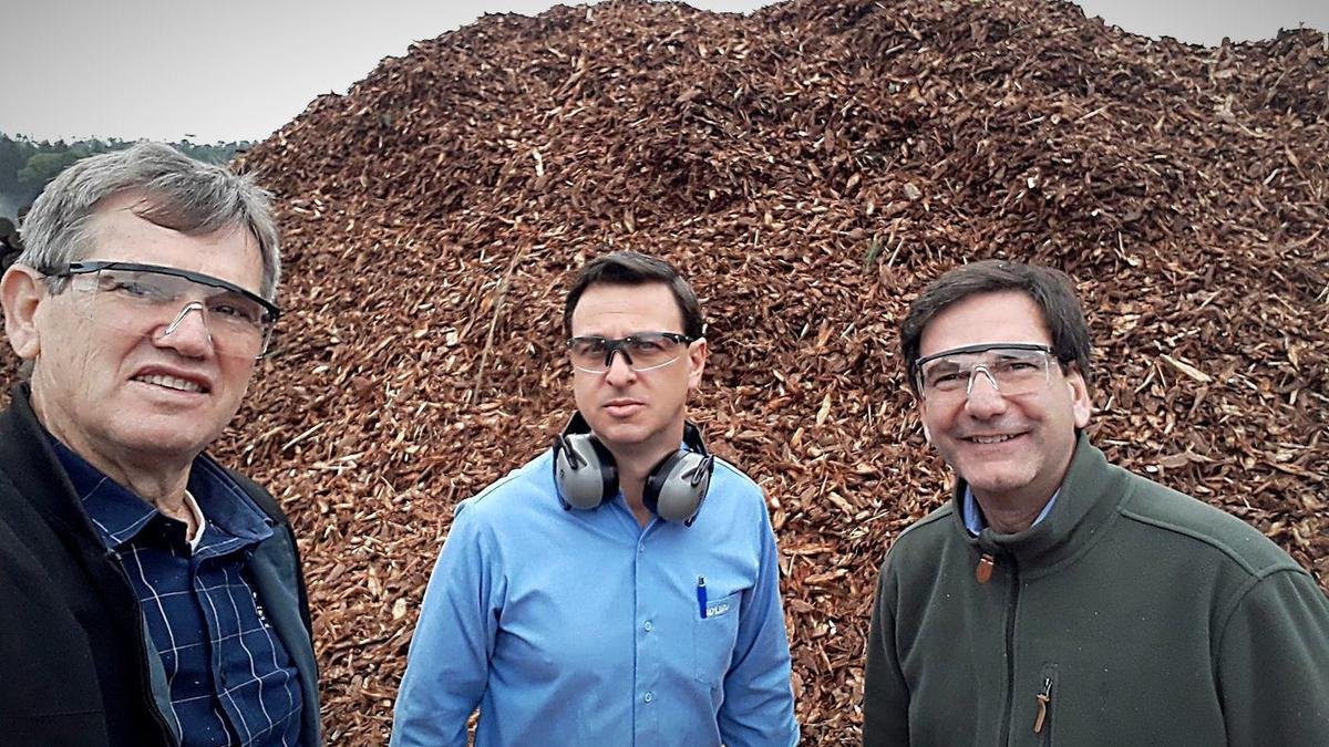 Visita técnica a pátio de cavaco de madeira do setor florestal